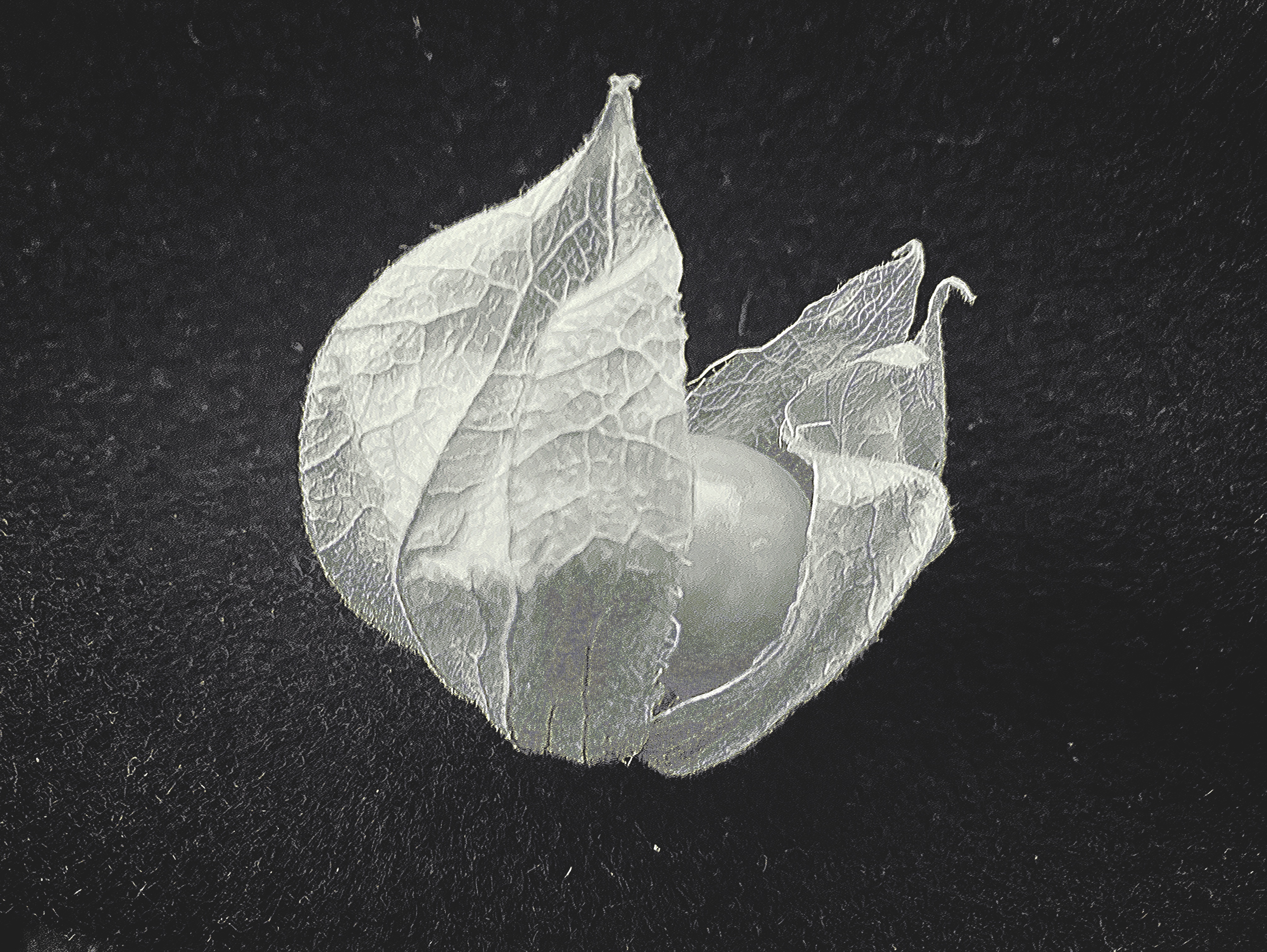 Enduring: in the  Aftermath of Sudden Loss